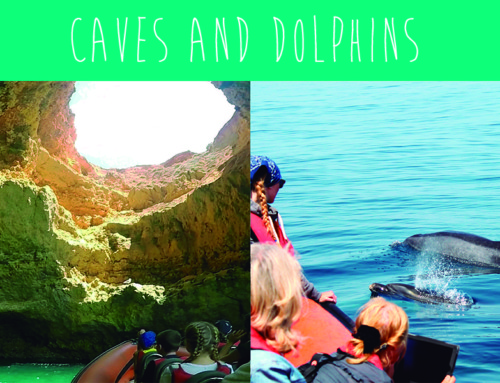 Caves and Dolphins